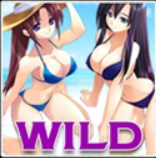สัญลักษณ์ Wild