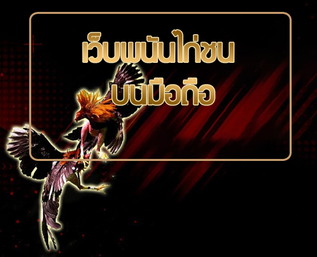 เล่นไก่ชนออนไลน์ บนมือถือ